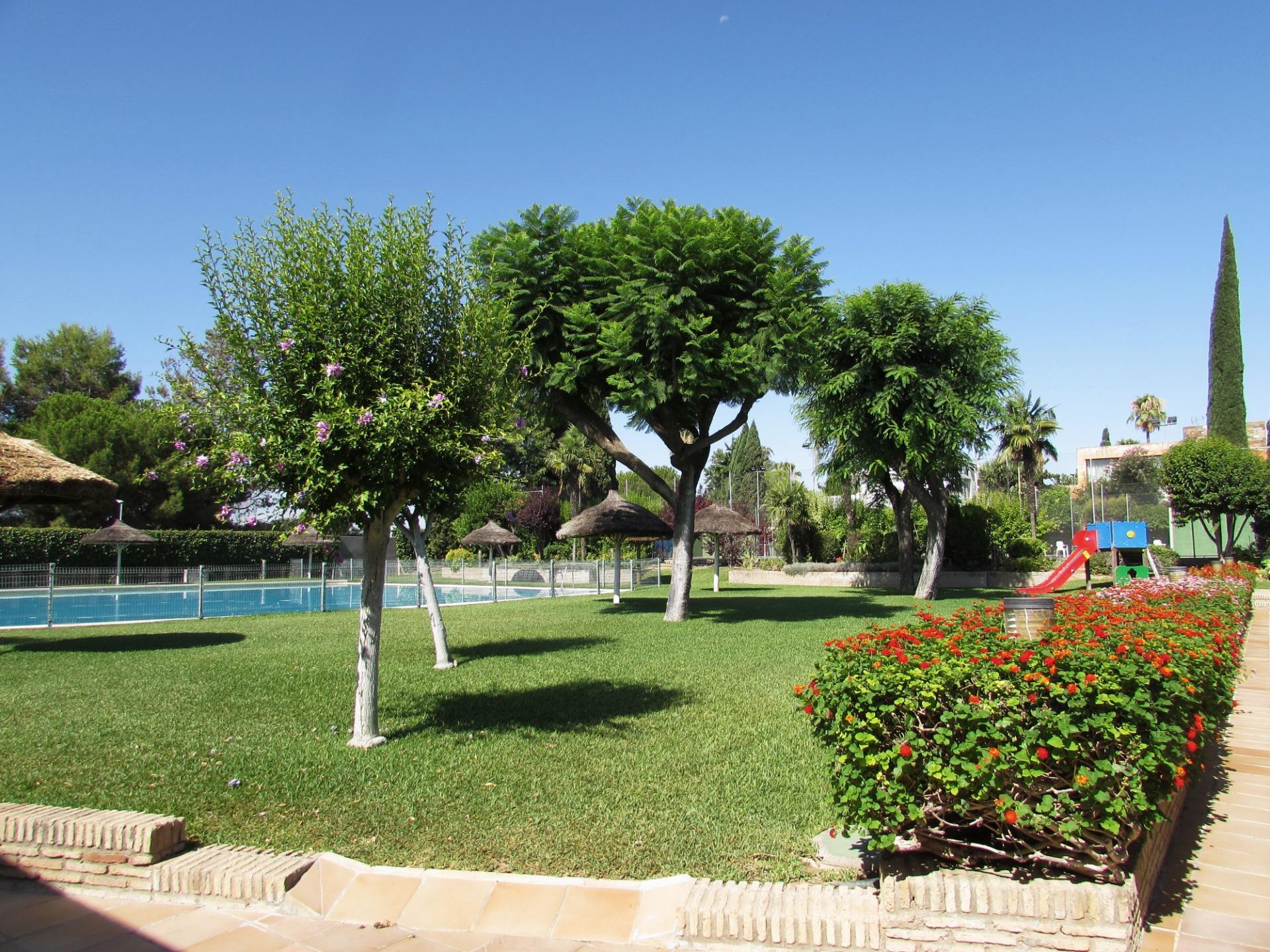 Casas o chalets-Venta-Valencina de la ConcepciÃ³n-1839860-Foto-68