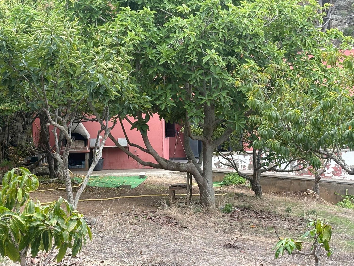 Pisos-Venta-Santa María de Guía de Gran Canaria-1840246