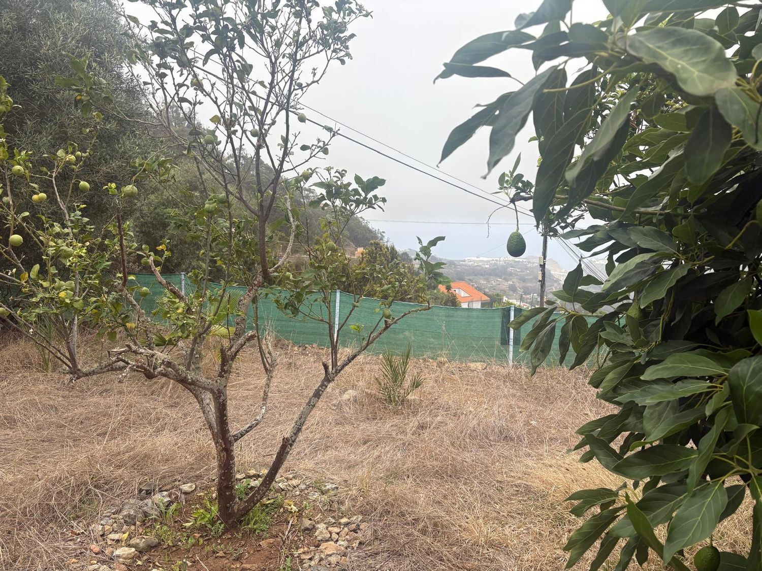 Pisos-Venta-Santa MarÃ­a de GuÃ­a de Gran Canaria-1840246-Foto-2