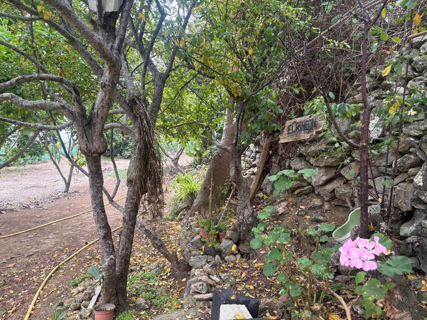 Pisos-Venta-Santa MarÃ­a de GuÃ­a de Gran Canaria-1840246-Foto-11