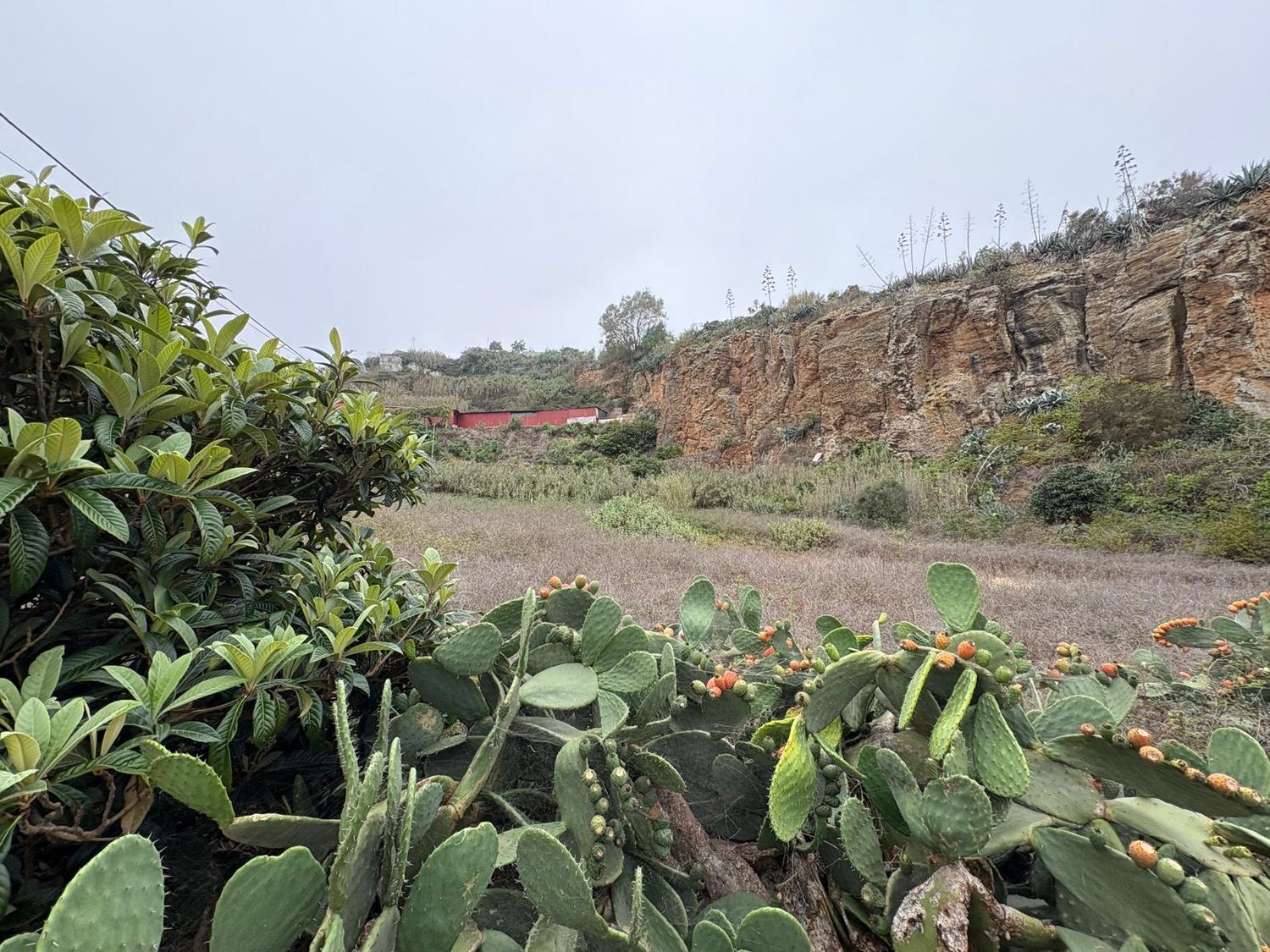 Pisos-Venta-Santa MarÃ­a de GuÃ­a de Gran Canaria-1840246-Foto-32