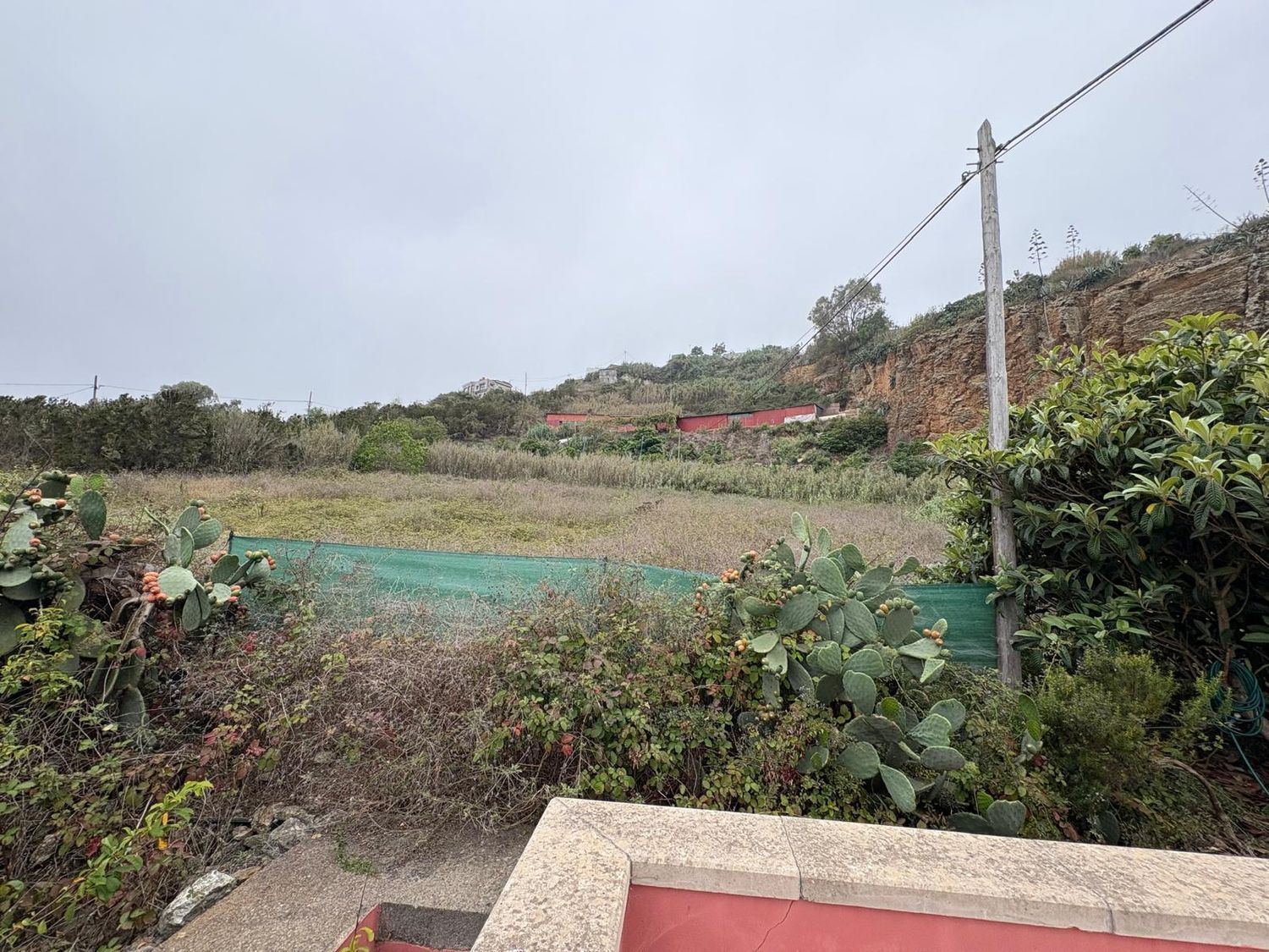 Pisos-Venta-Santa MarÃ­a de GuÃ­a de Gran Canaria-1840246-Foto-33