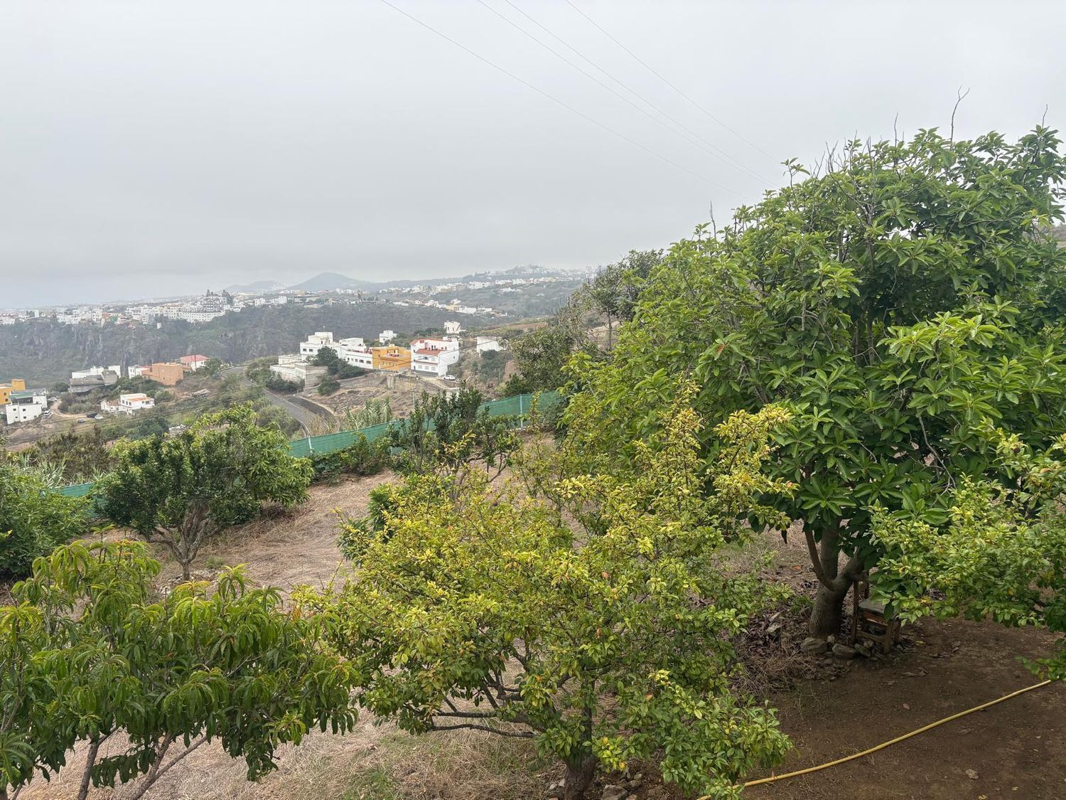 Pisos-Venta-Santa MarÃ­a de GuÃ­a de Gran Canaria-1840246-Foto-34