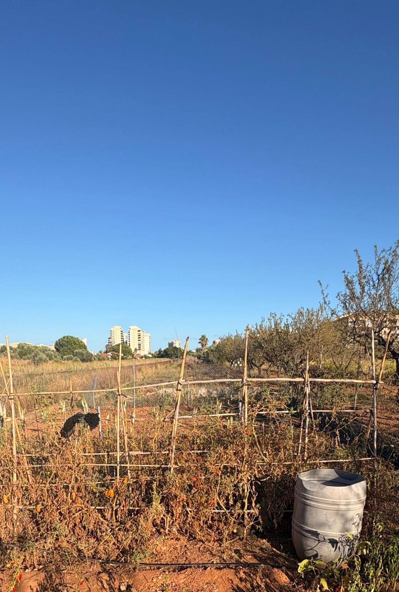 Fincas y solares-Venta-Oropesa del Mar-1840264-Foto-9