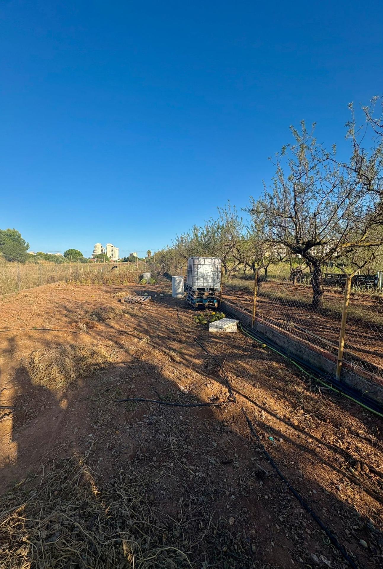 Fincas y solares-Venta-Oropesa del Mar-1840264-Foto-8