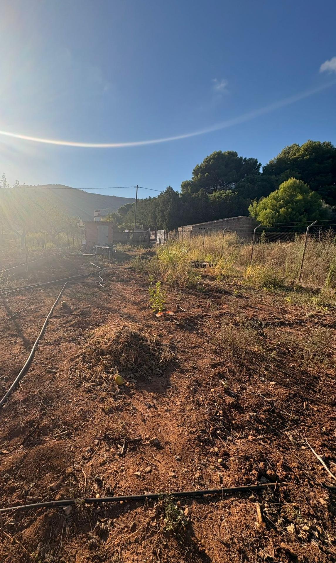 Fincas y solares-Venta-Oropesa del Mar-1840264-Foto-11