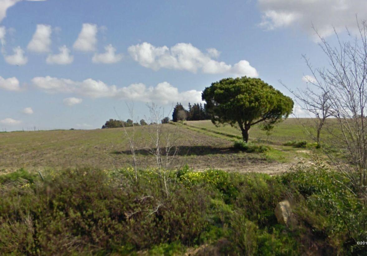 Fincas y solares-Venta-Chiclana de la Frontera-1395903-Foto-3