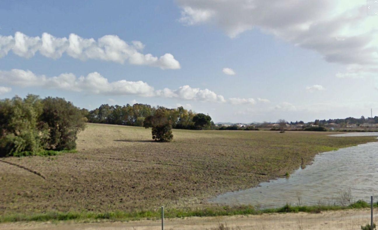 Fincas y solares-Venta-Chiclana de la Frontera-1395903-Foto-5