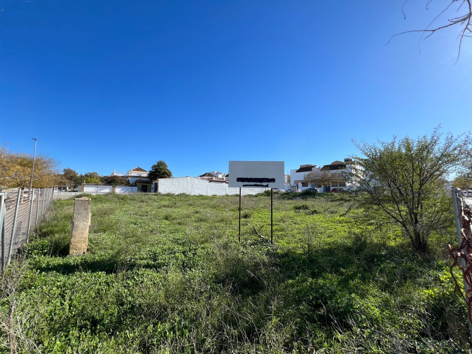 Fincas y solares-Venta-Chiclana de la Frontera-1395903-Foto-8