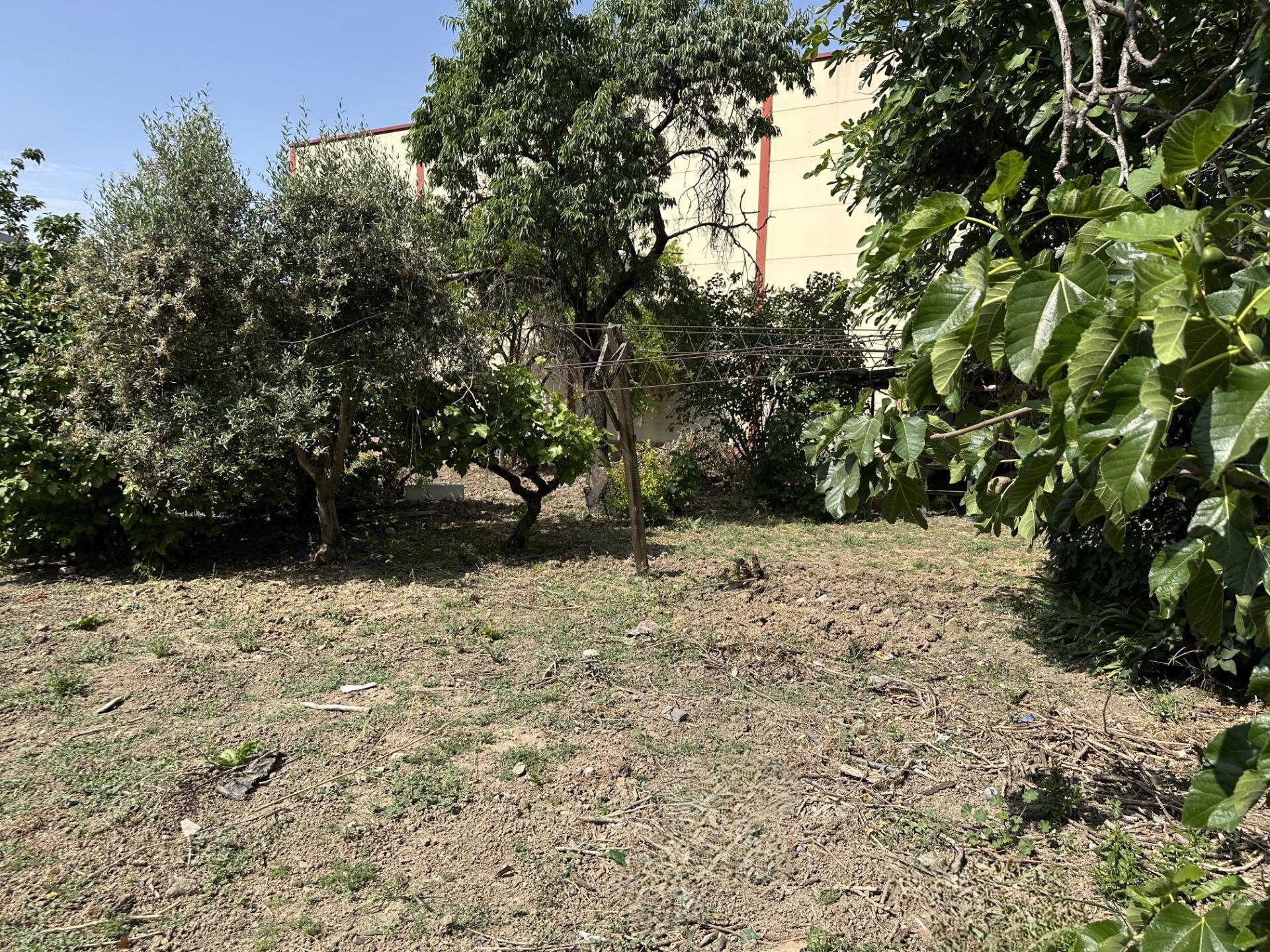 Fincas y solares-Venta-Paracuellos de Jarama-1745169-Foto-3