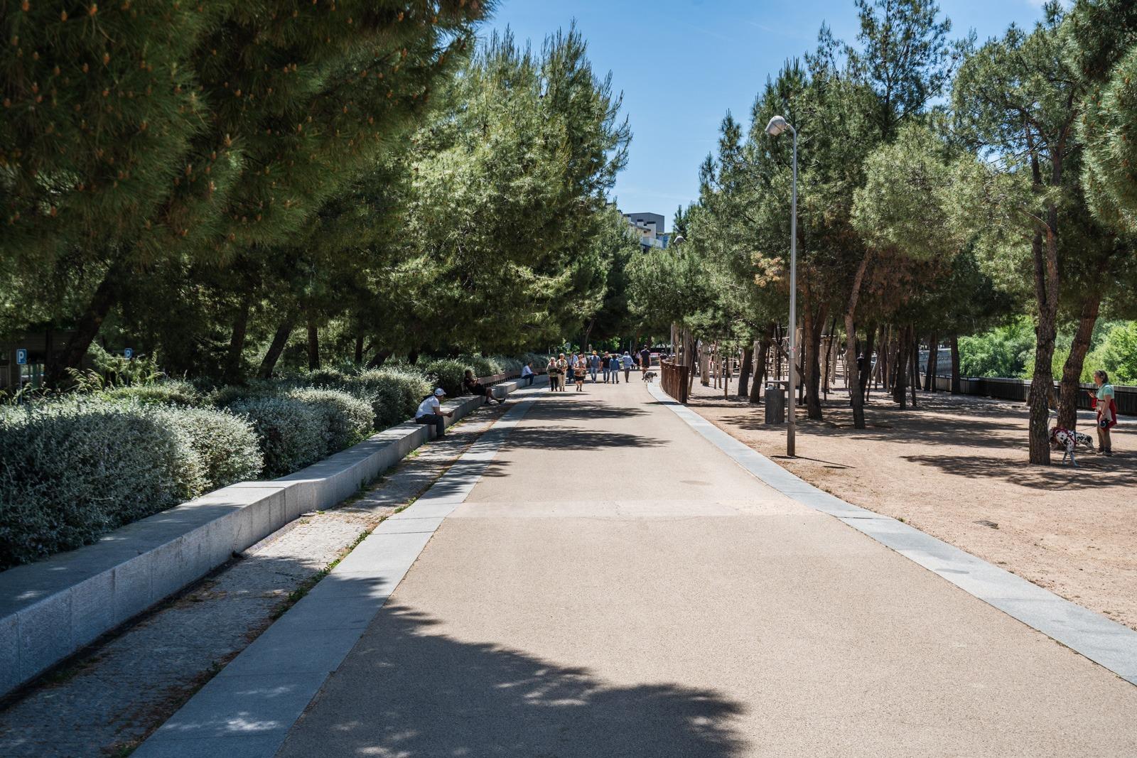 Pisos-Venta-Madrid-1743735-Foto-15