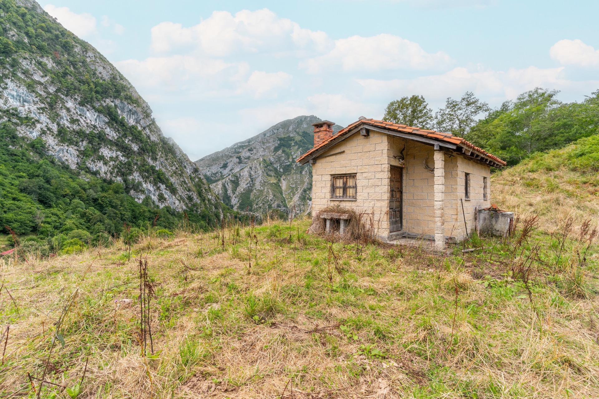 Casas o chalets-Venta-Amieva-1840297