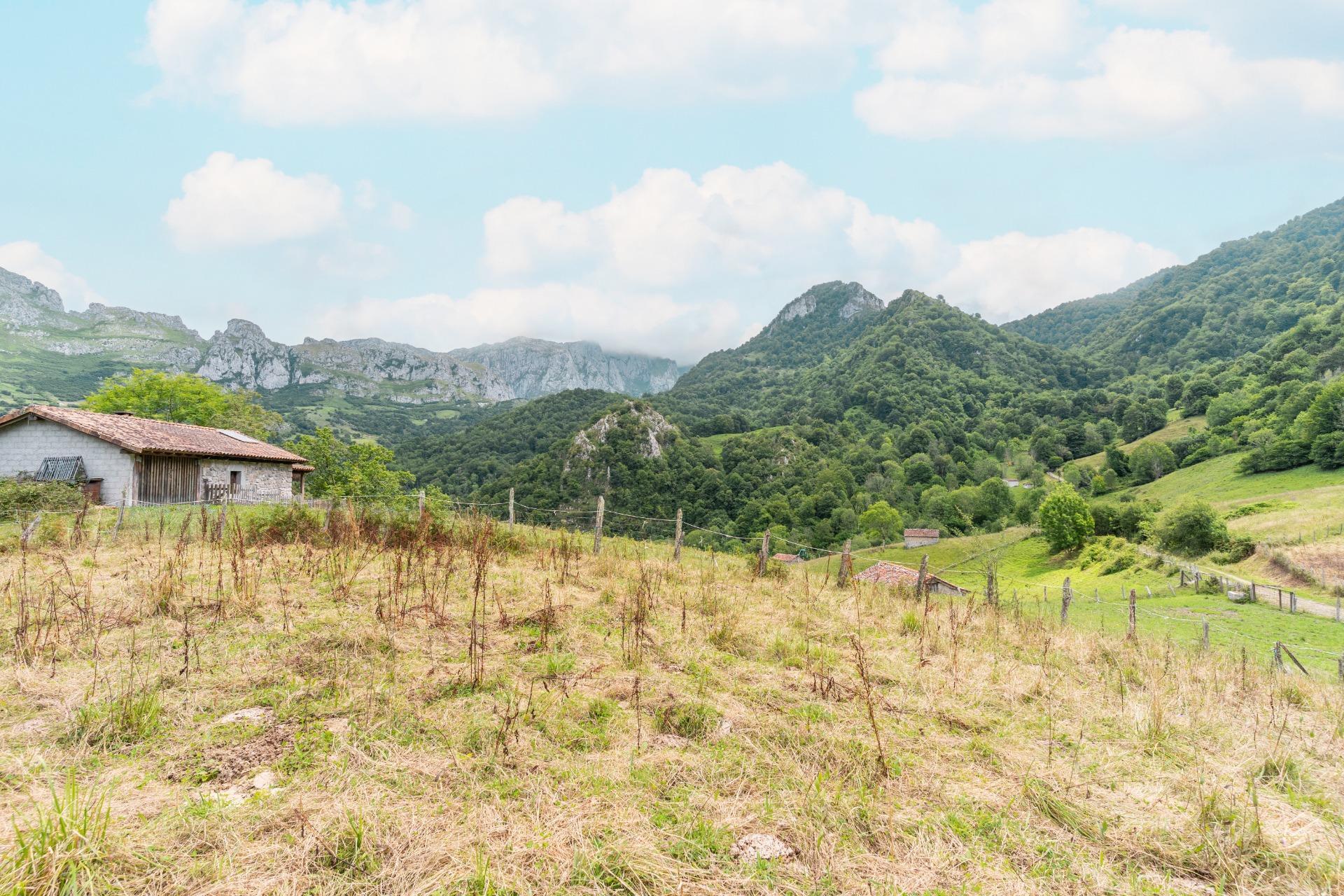Casas o chalets-Venta-Amieva-1840297-Foto-9