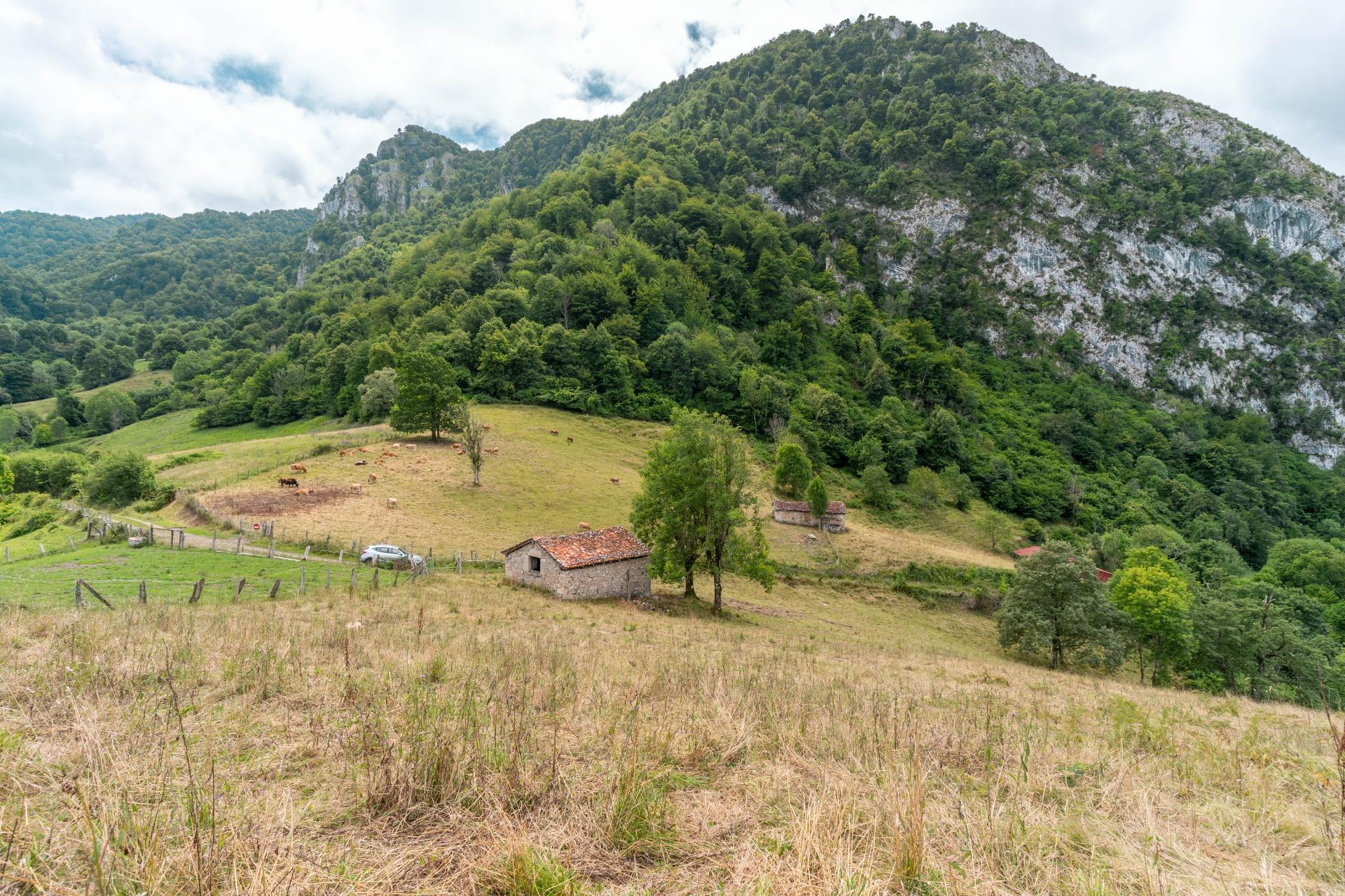 Casas o chalets-Venta-Amieva-1840297-Foto-12