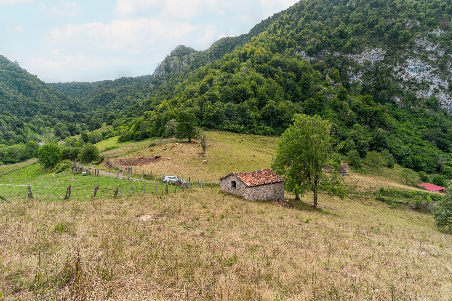 Casas o chalets-Venta-Amieva-1840297-Foto-17