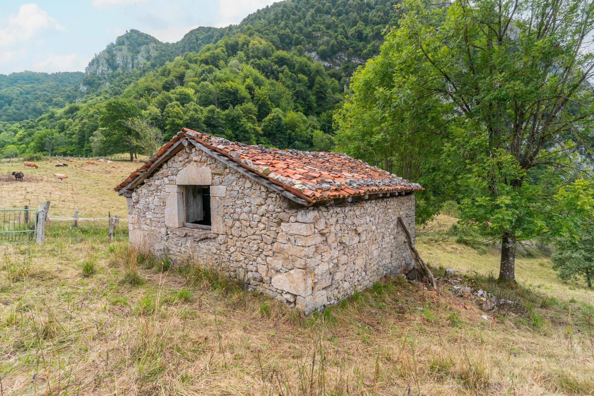 Casas o chalets-Venta-Amieva-1840297-Foto-18