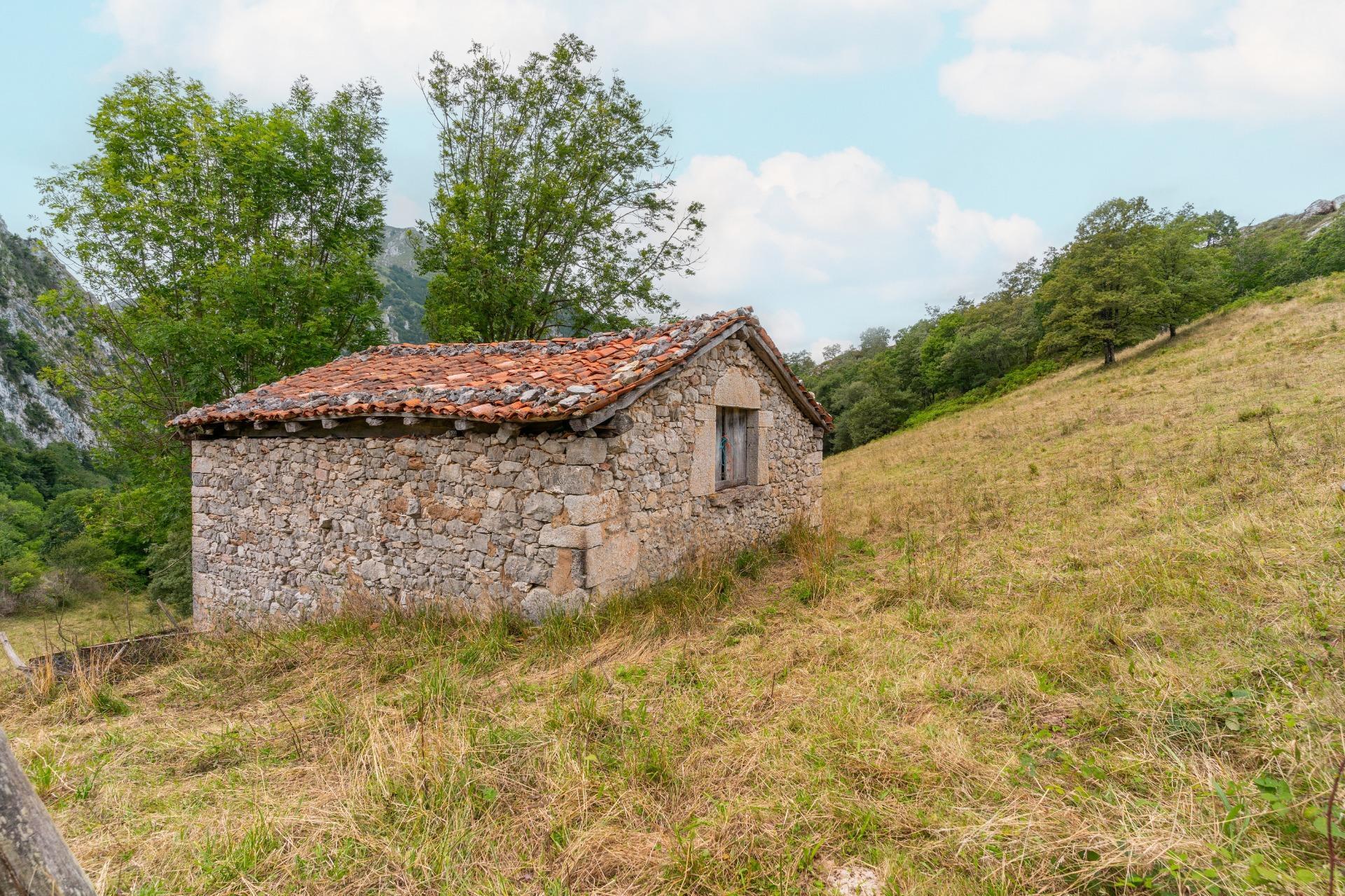 Casas o chalets-Venta-Amieva-1840297-Foto-26