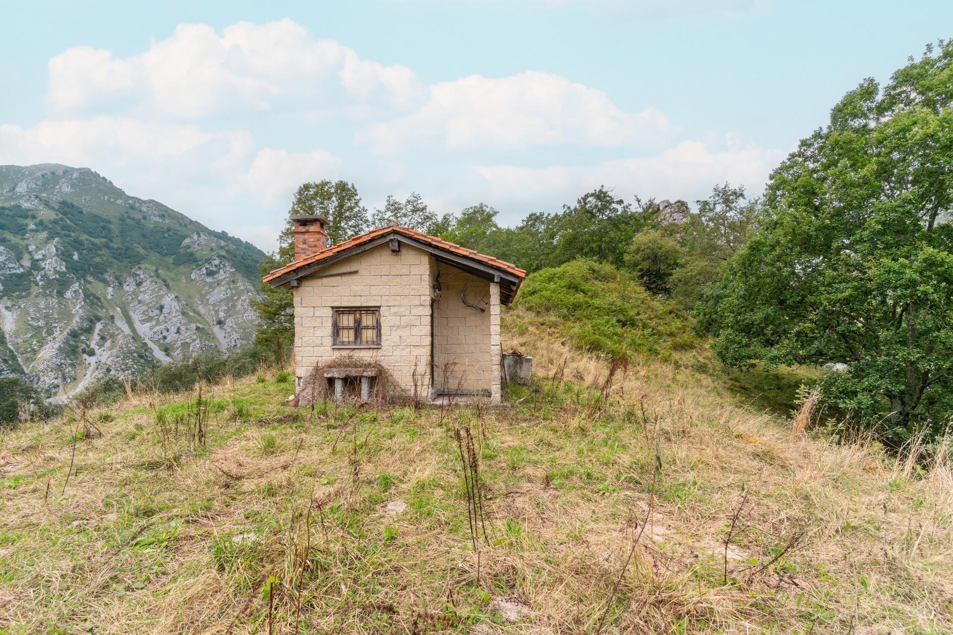 Casas o chalets-Venta-Amieva-1840297-Foto-25
