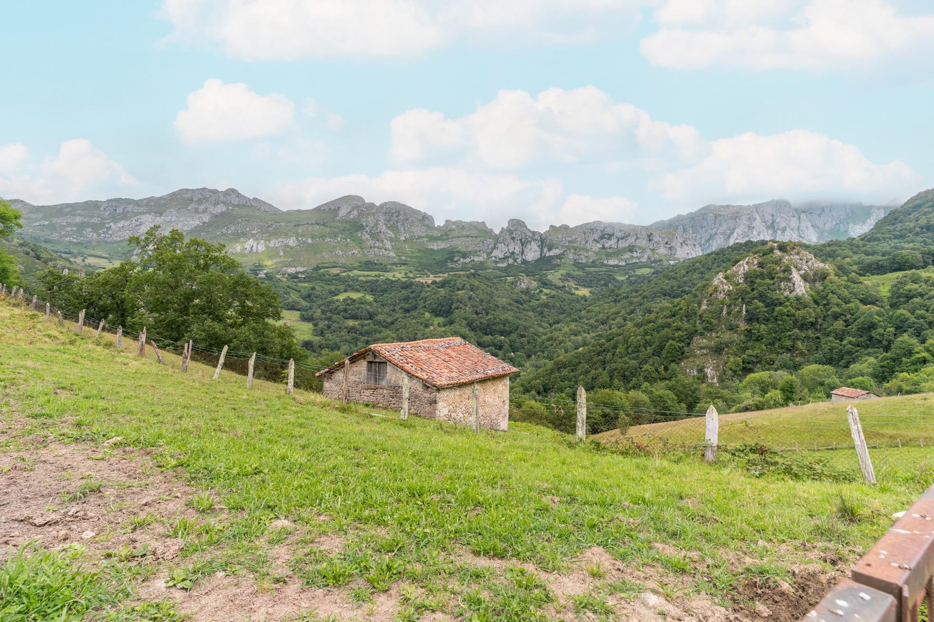 Casas o chalets-Venta-Amieva-1840297-Foto-28