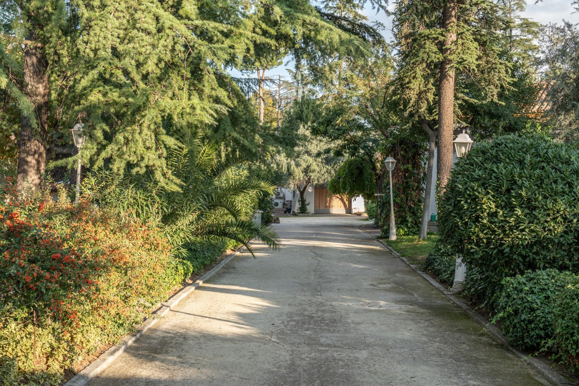 Fincas y solares-Venta-Madrid-1480150-Foto-9