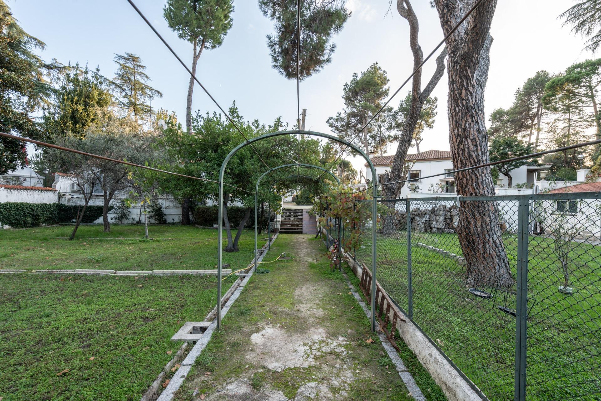 Fincas y solares-Venta-Madrid-1480150-Foto-5