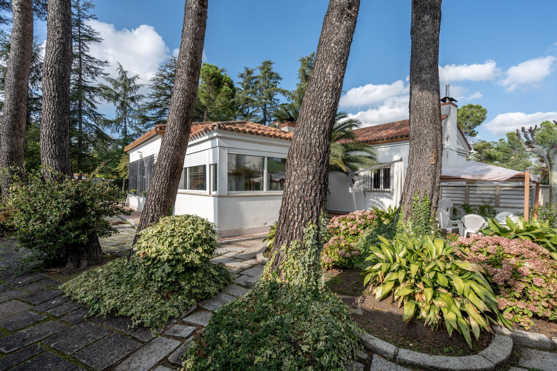 Fincas y solares-Venta-Madrid-1480150-Foto-7
