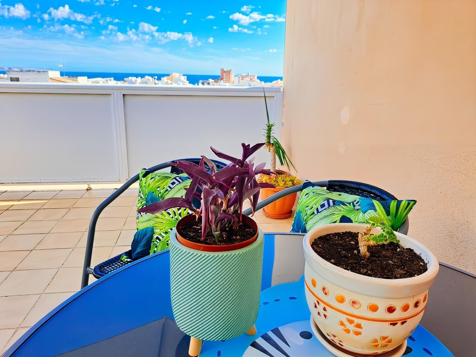 Pisos-Venta-Palma de Mallorca-1836863-Foto-42