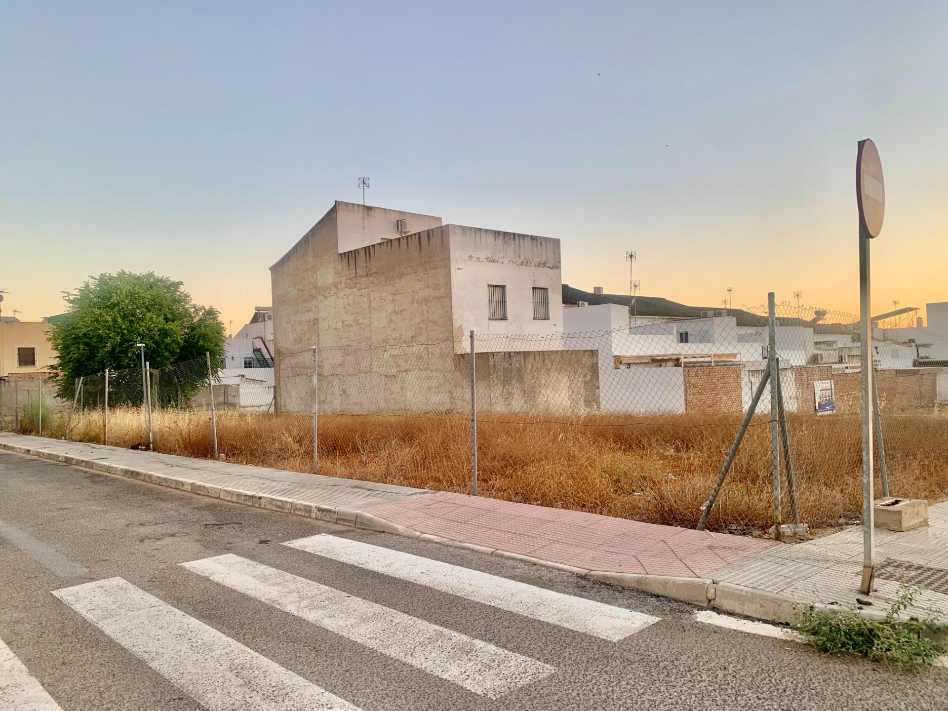 Fincas y solares-Venta-Cantillana-1840303-Foto-3