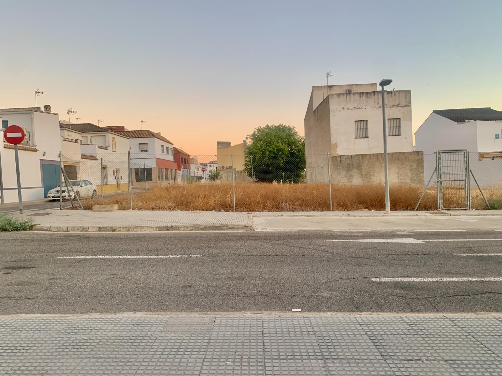 Fincas y solares-Venta-Cantillana-1840303-Foto-5