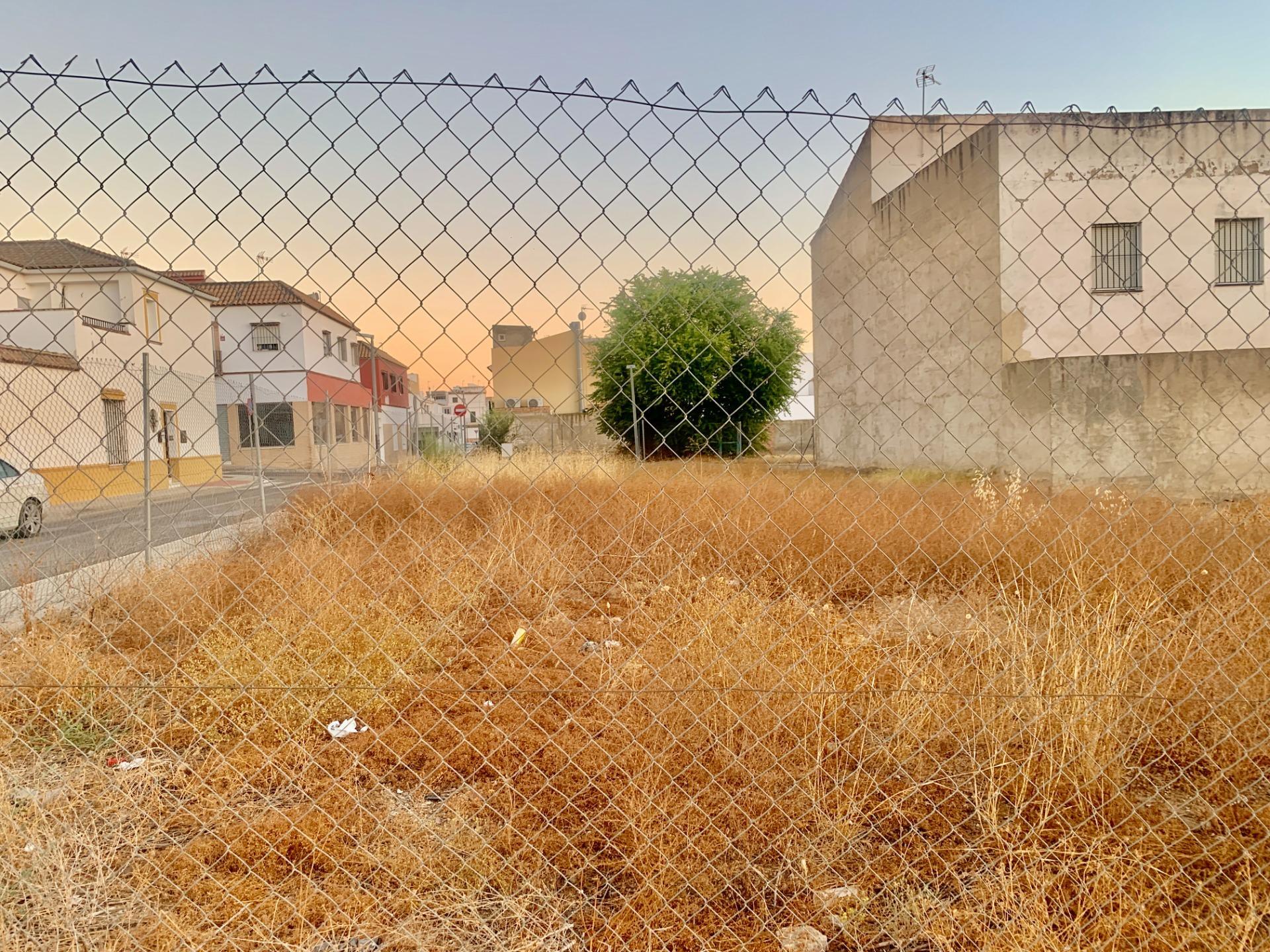 Fincas y solares-Venta-Cantillana-1840303-Foto-4