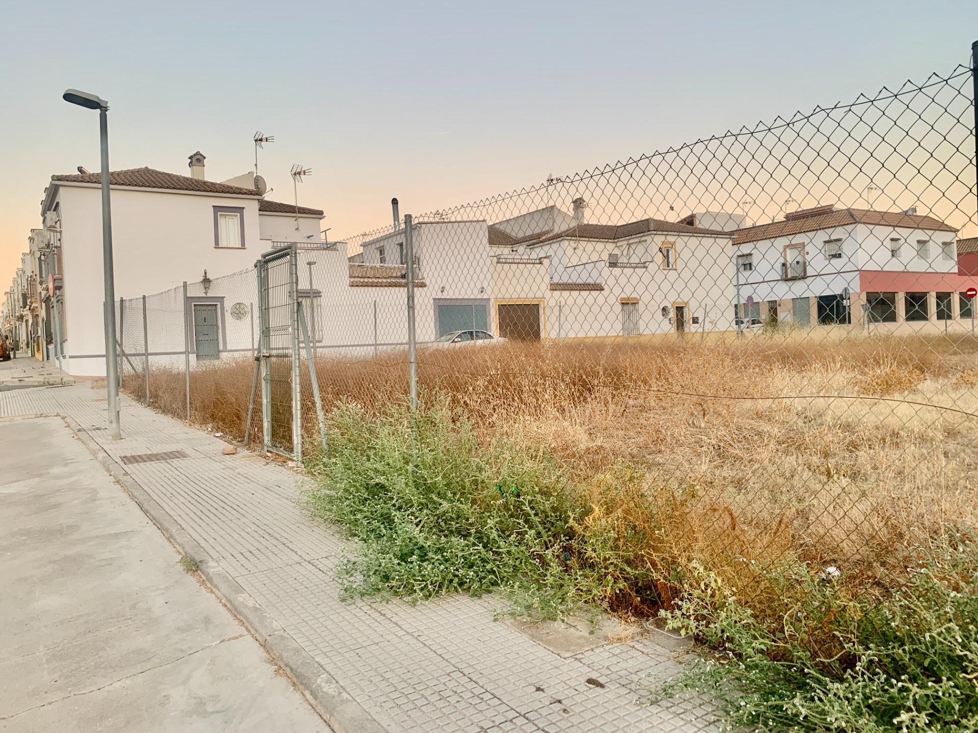 Fincas y solares-Venta-Cantillana-1840303-Foto-2