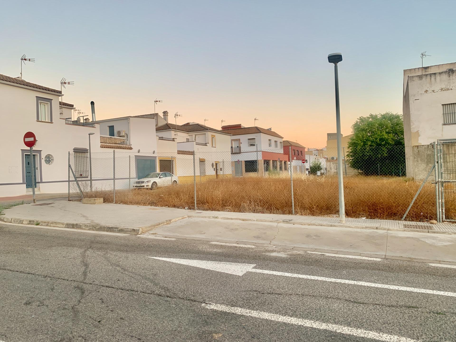 Fincas y solares-Venta-Cantillana-1840303-Foto-7