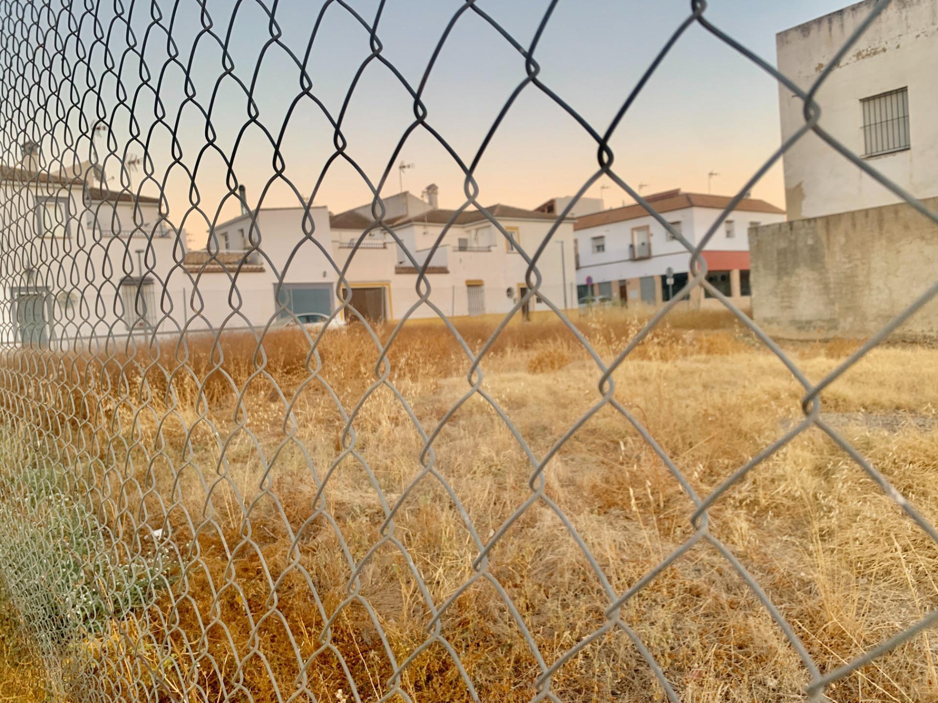 Fincas y solares-Venta-Cantillana-1840303-Foto-6