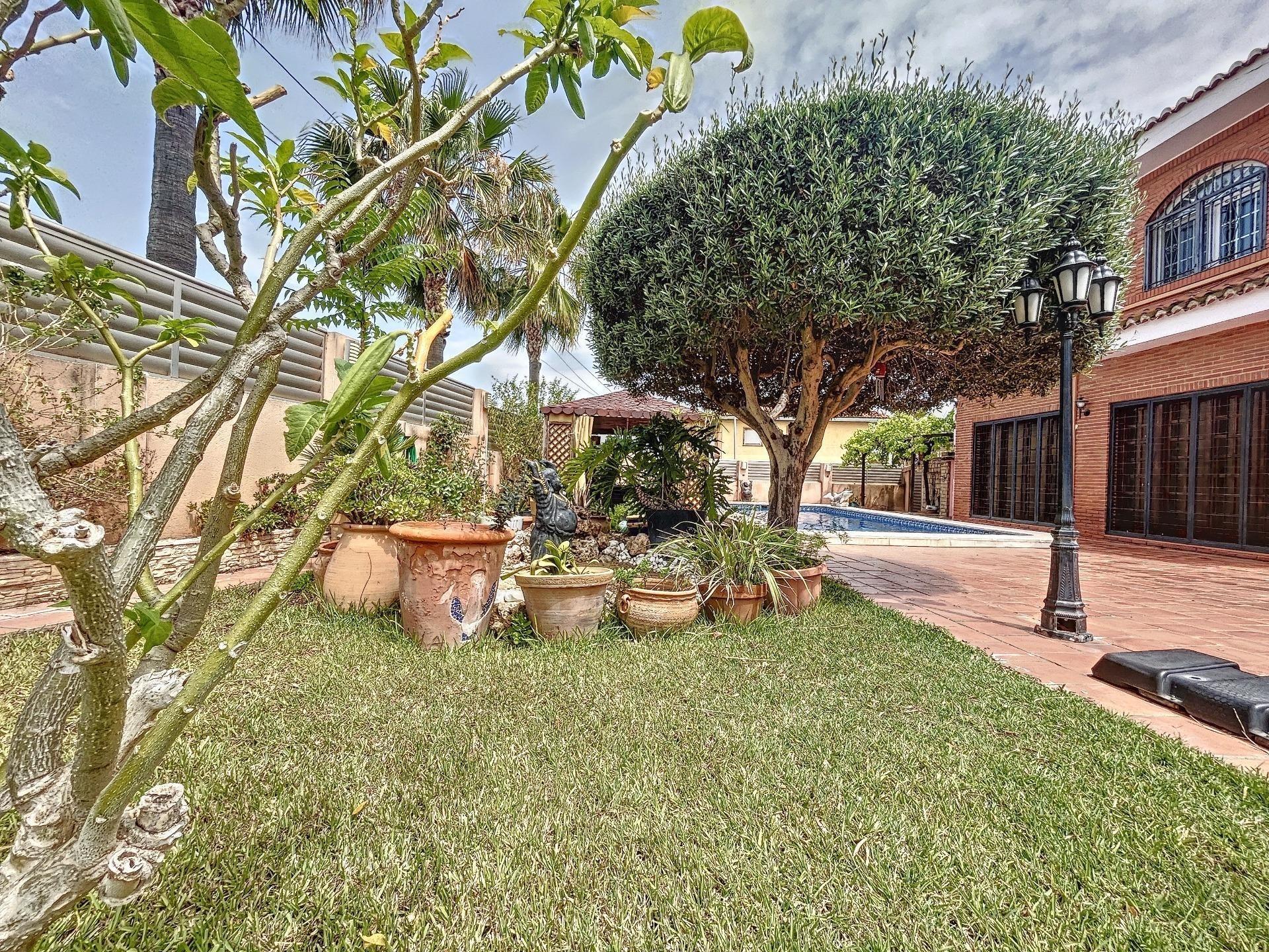 Casas o chalets-Alquiler-Chiva-1840327-Foto-41