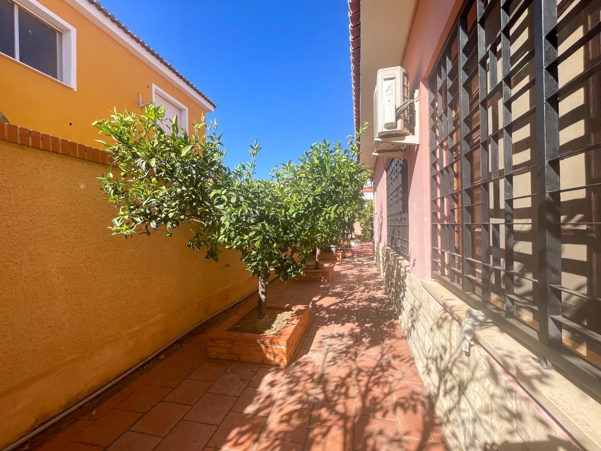 Casas o chalets-Alquiler-Chiva-1840327-Foto-90