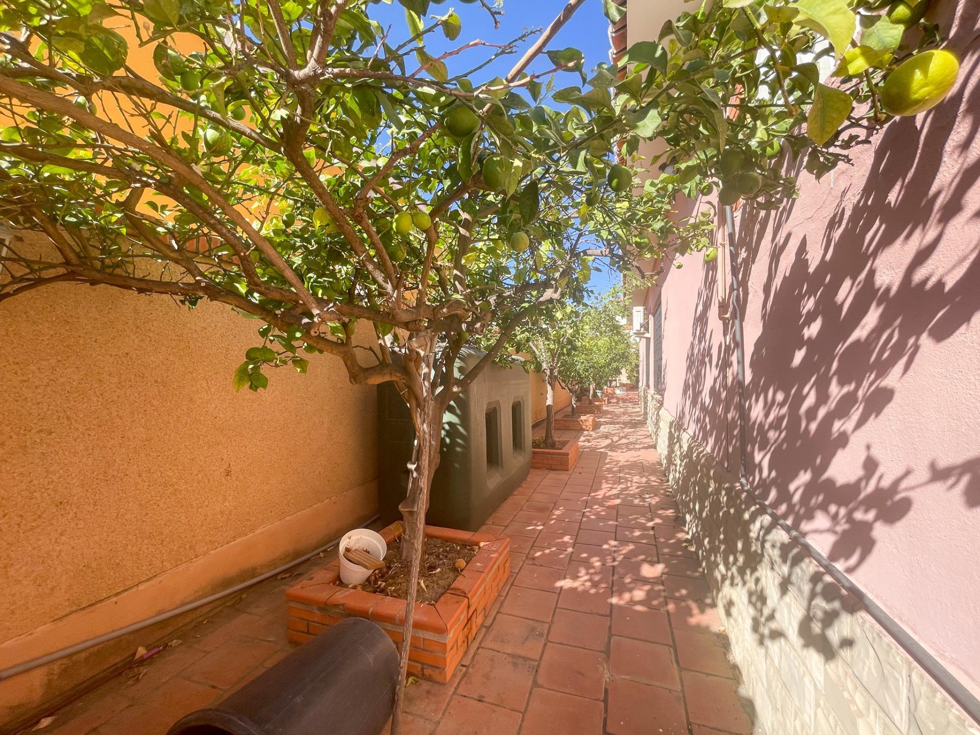 Casas o chalets-Alquiler-Chiva-1840327-Foto-91