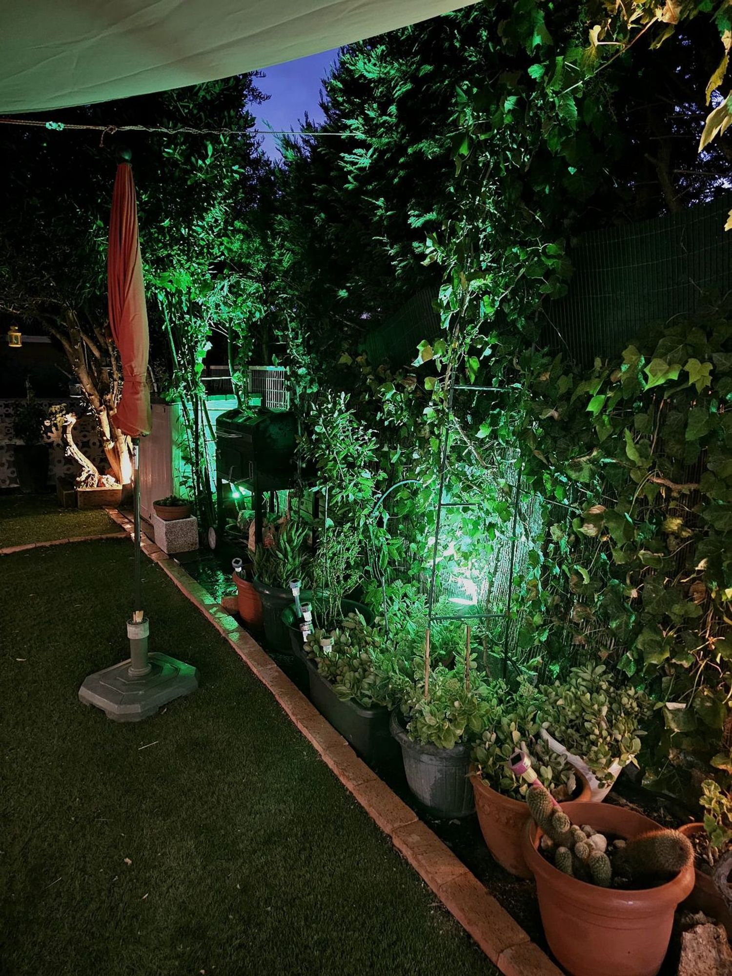 Casas o chalets-Venta-Rivas-Vaciamadrid-1840346-Foto-6