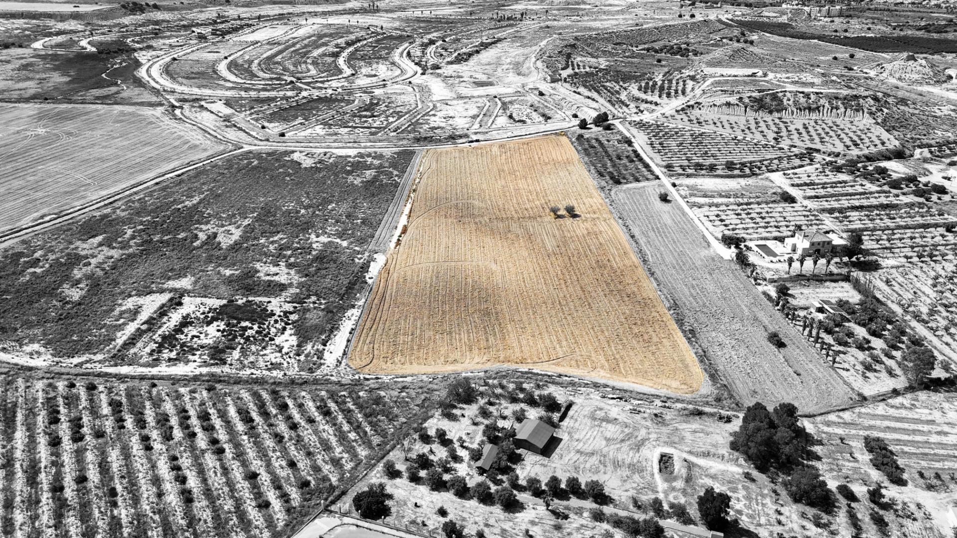 Fincas y solares-Venta-Murcia-1763918-Foto-3