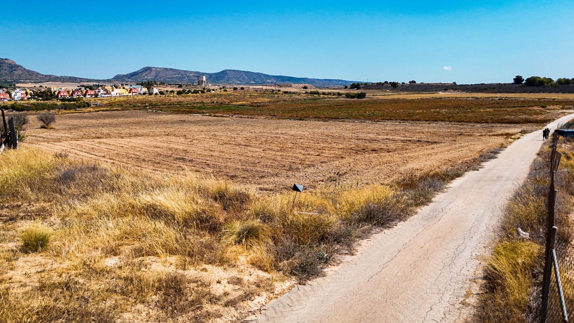 Fincas y solares-Venta-Murcia-1763918-Foto-10
