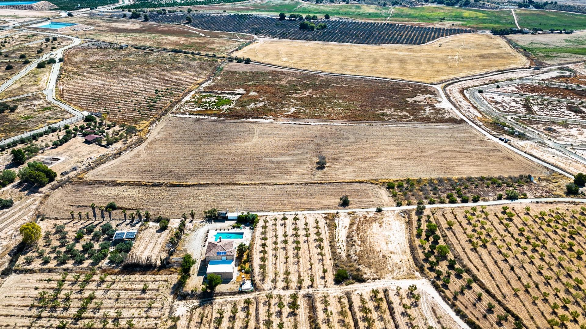 Fincas y solares-Venta-Murcia-1763918-Foto-6