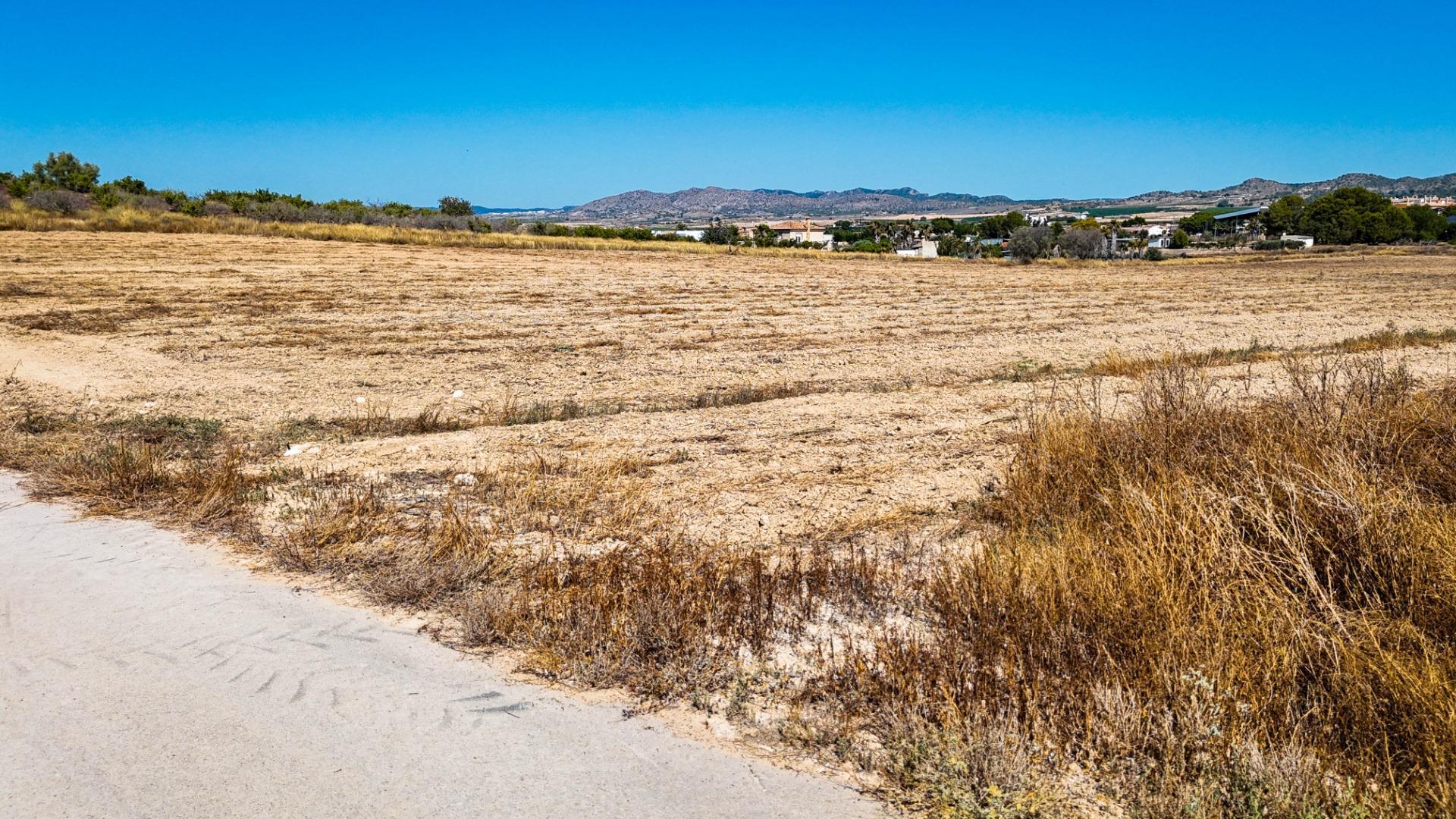 Fincas y solares-Venta-Murcia-1763918-Foto-9