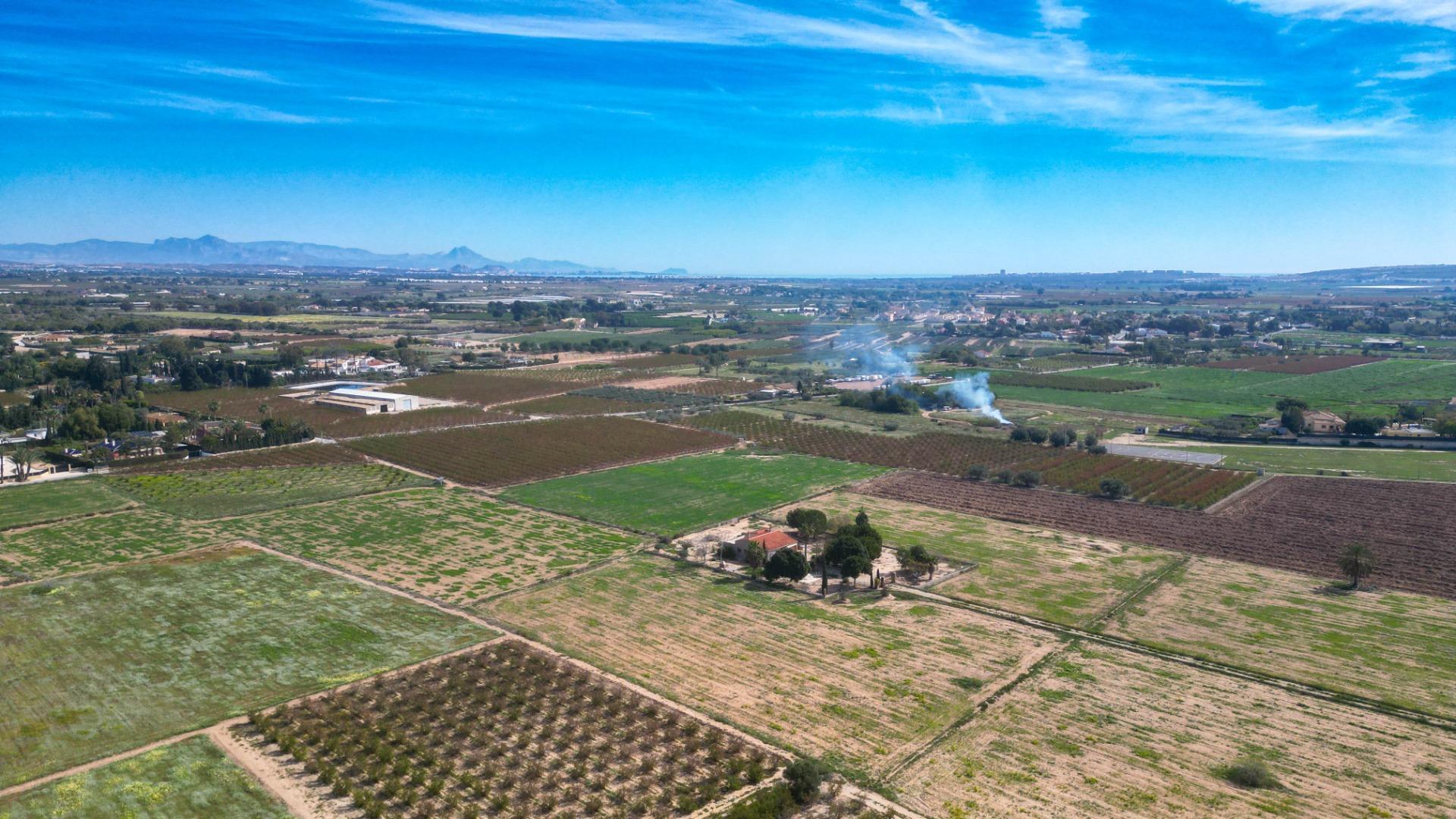 Fincas y solares-Venta-Valverde (Alicante)-1702959-Foto-9