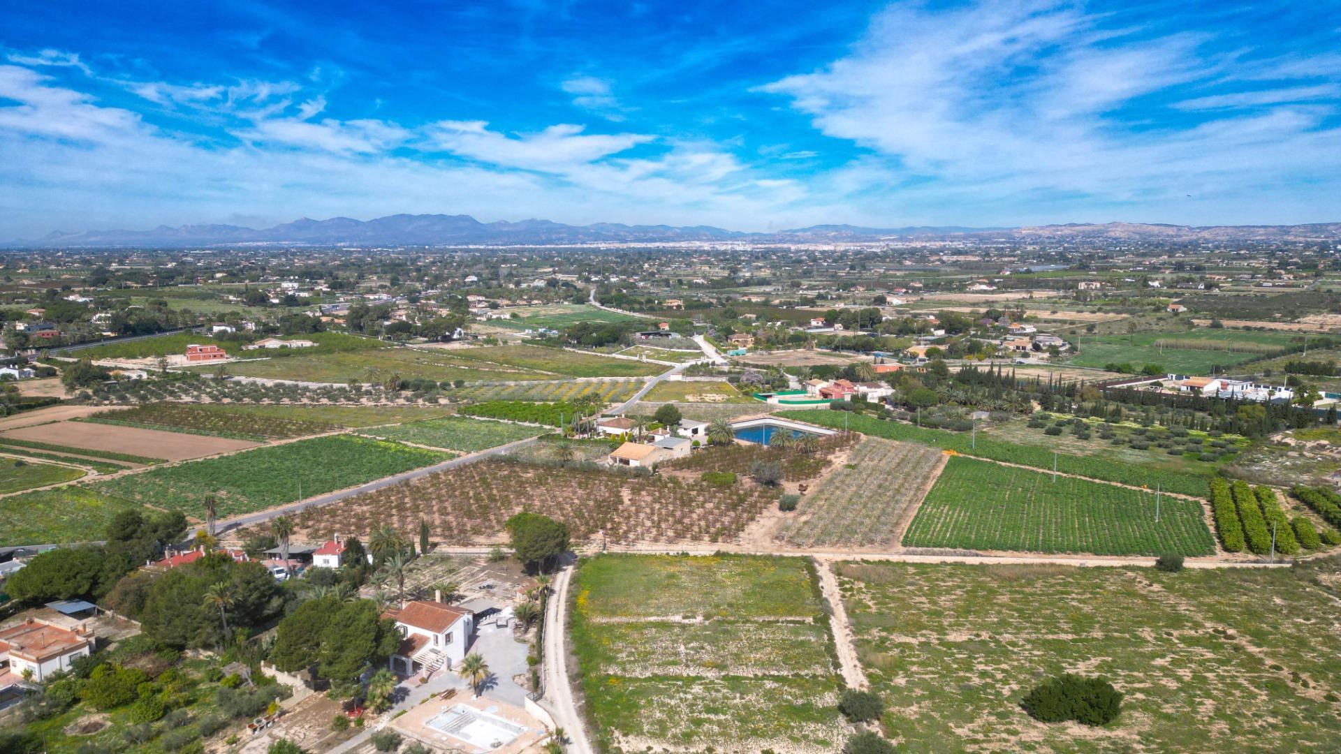 Fincas y solares-Venta-Valverde (Alicante)-1702959-Foto-7