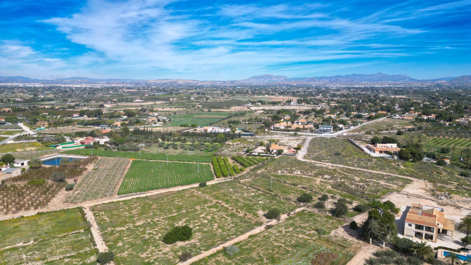Fincas y solares-Venta-Valverde (Alicante)-1702959-Foto-8