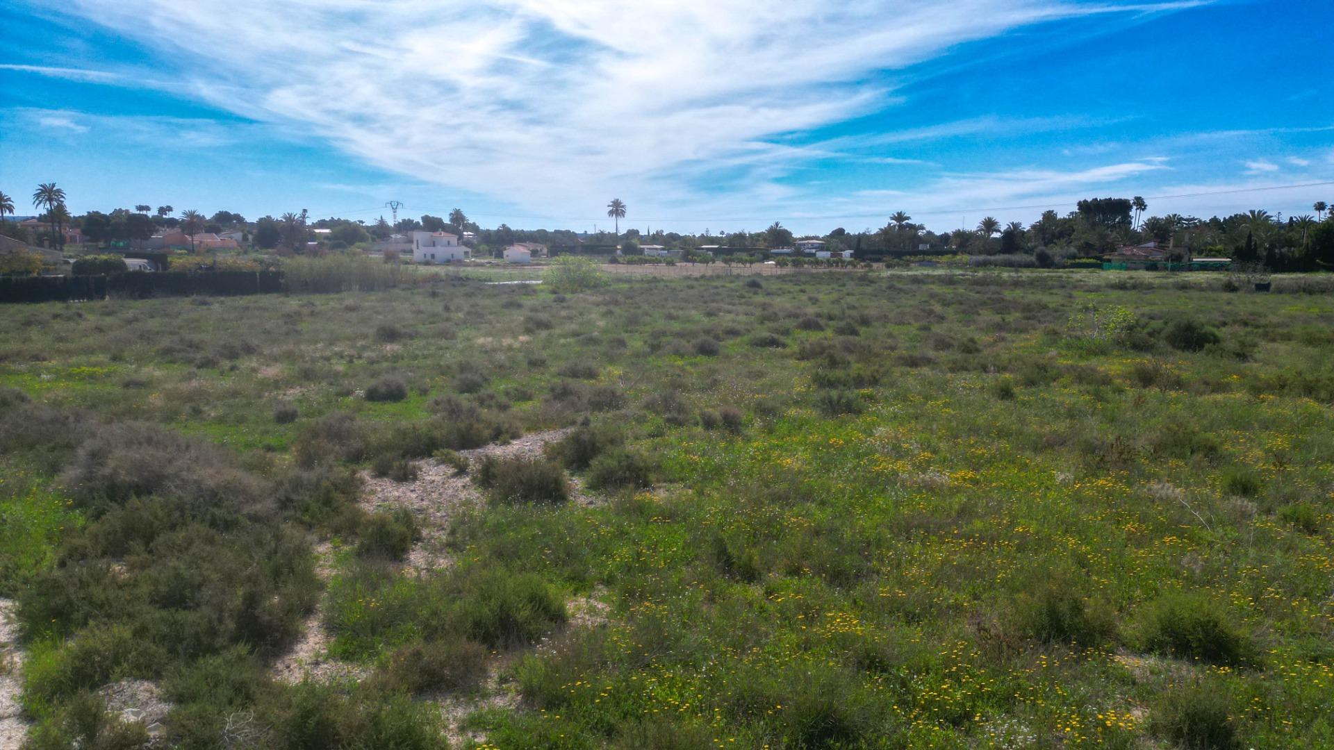 Fincas y solares-Venta-Valverde (Alicante)-1702959-Foto-11