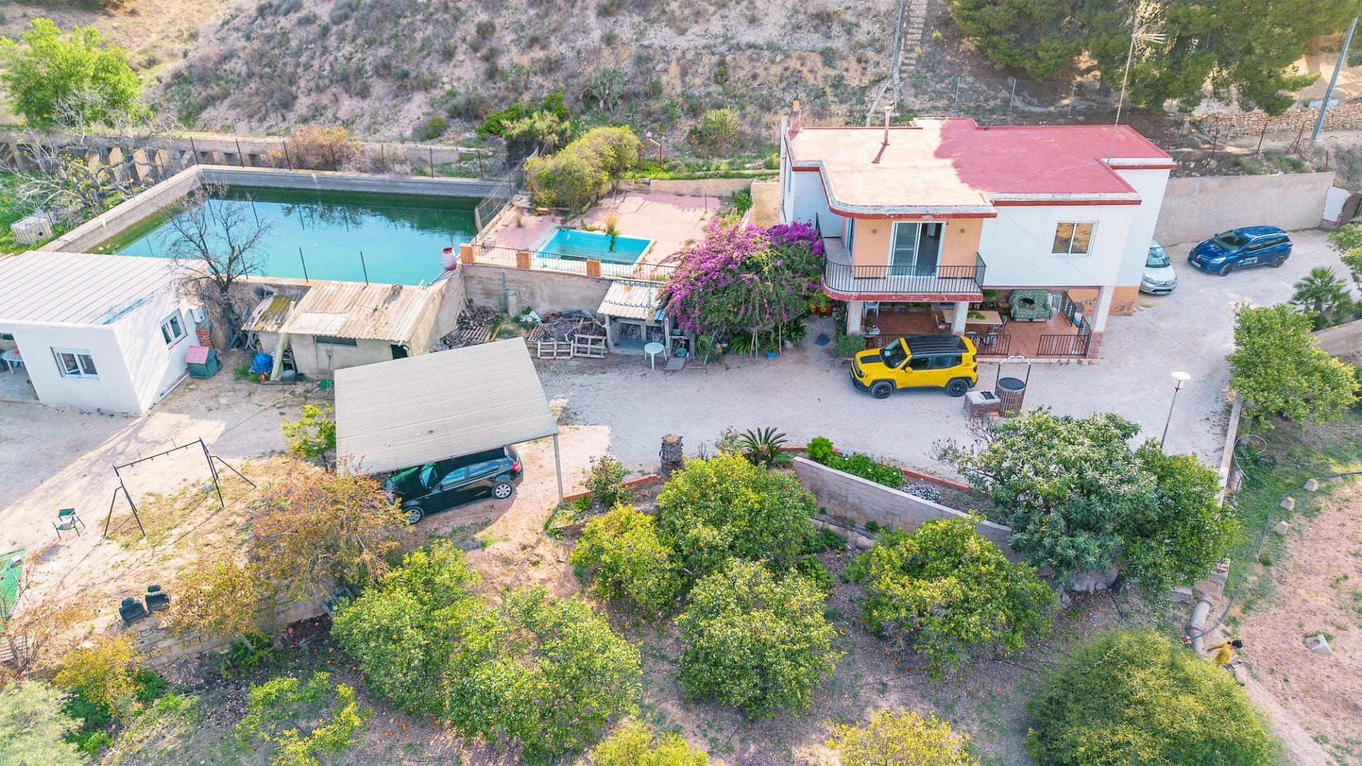 Casas o chalets-Venta-Elche-1684861