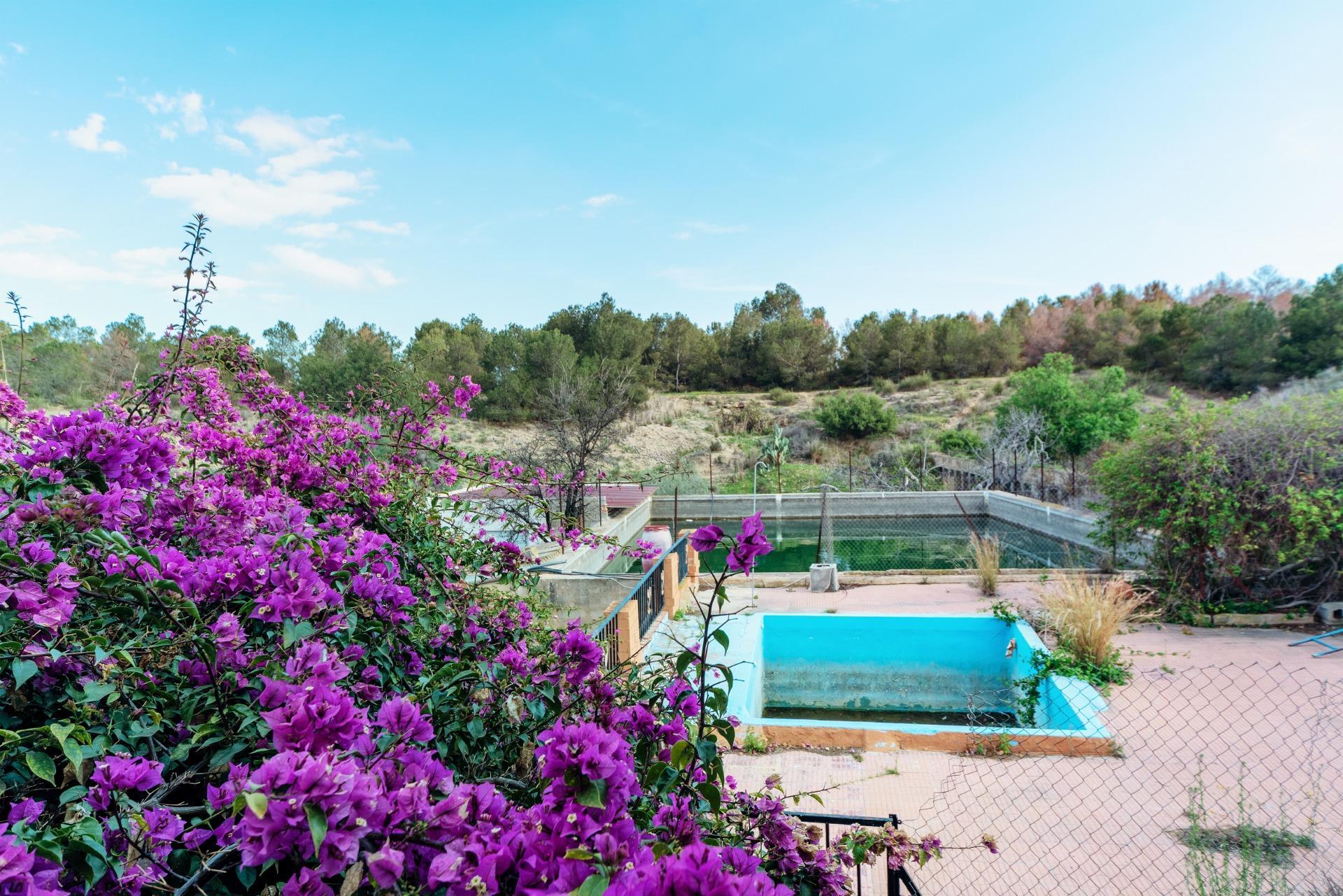 Casas o chalets-Venta-Elche-1684861-Foto-17
