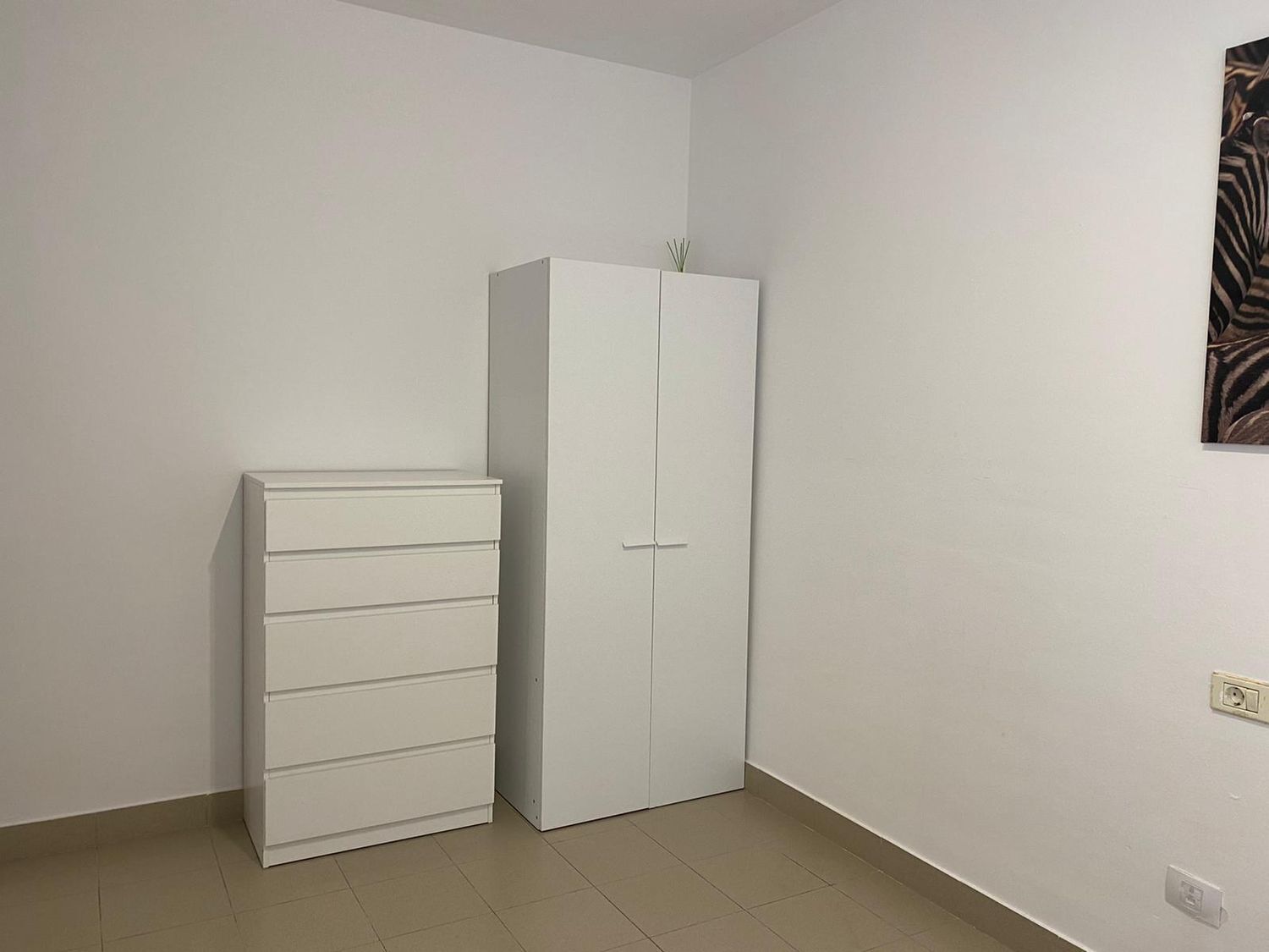 Pisos-Alquiler-Puerto del Rosario-1077386-Foto-23