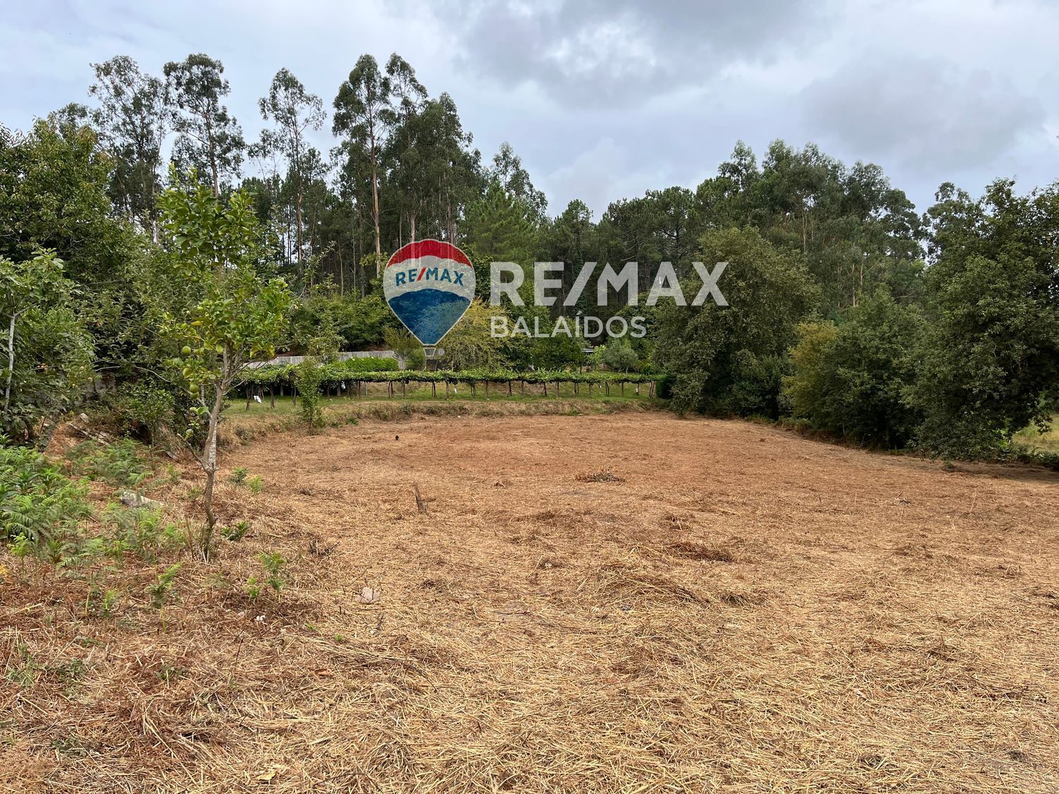 Casas o chalets-Venta-Tui-1840884-Foto-26