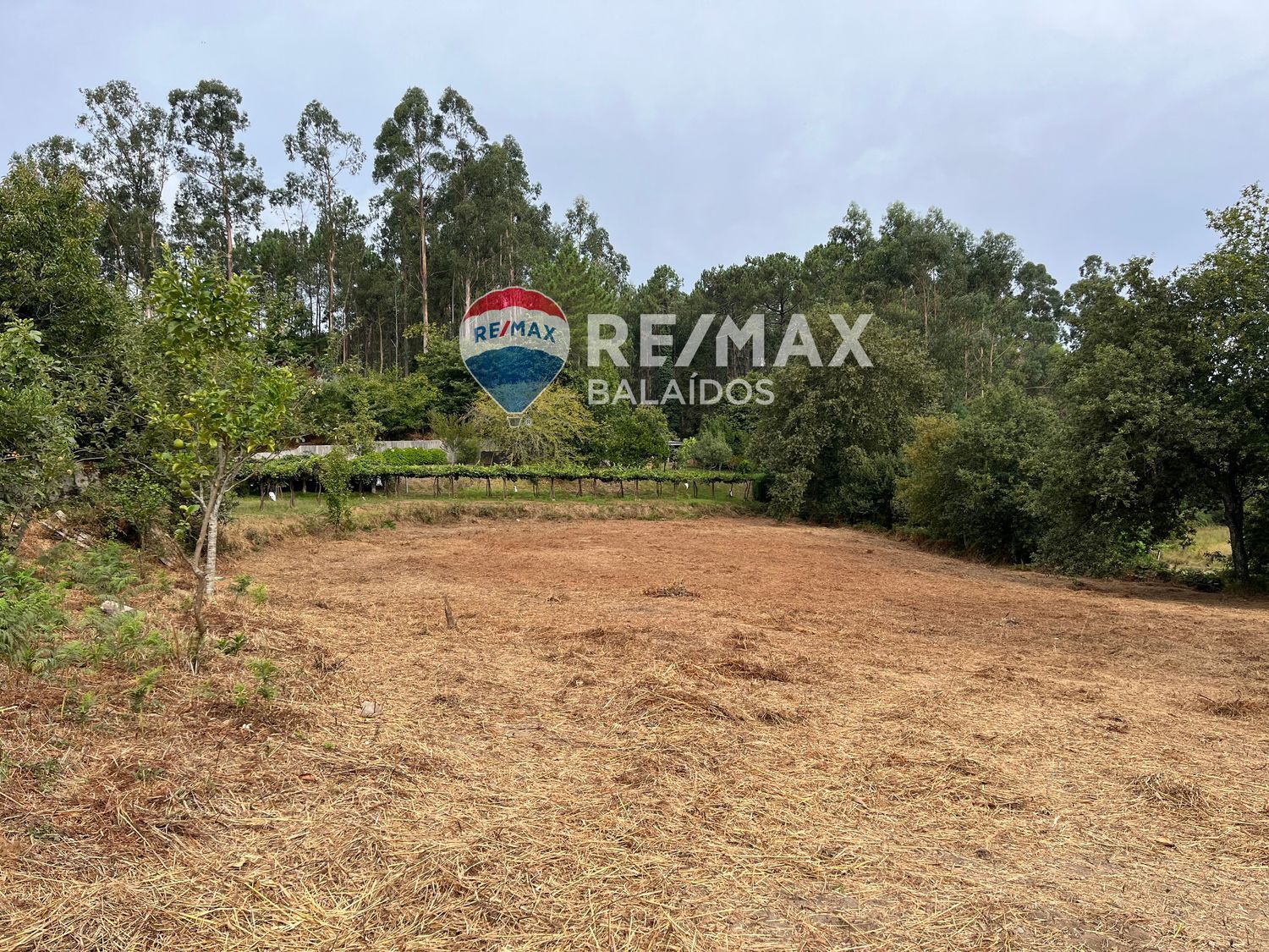 Casas o chalets-Venta-Tui-1840884-Foto-41